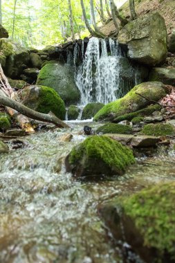 Karpatlar 'da bir dağ deresinde çağlayan şelale.
