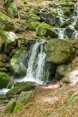 Karpatlar 'da bir dağ deresinde çağlayan şelale.