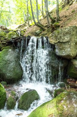Karpatlar 'da bir dağ deresinde çağlayan şelale.