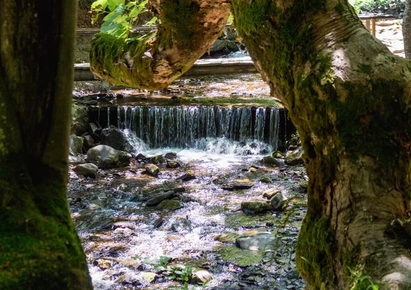 Ruisseau Dans Les Carpates Vue Été Mer Fraîche — Photo