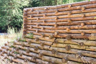 Dere kenarındaki kütük duvarı, sel koruması