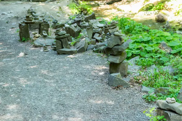 Ormanda cairn, yaz, güneşli da