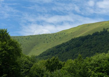 Yaz mevsiminde dağ açıklığı, Skylin