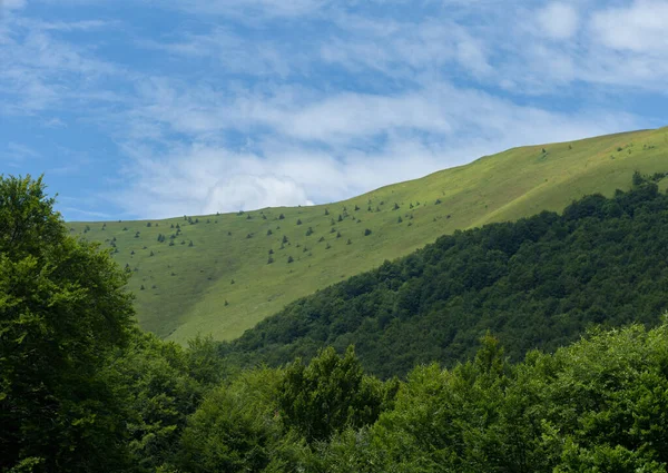 Górska Polana Okresie Letnim Skylin — Zdjęcie stockowe