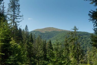 Velikiy Verkh Dağı, Borzhava Vadisi manzarası