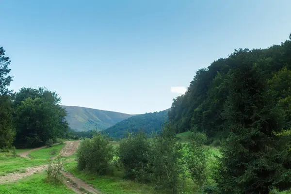 Letni Krajobraz Górski Dolina Borzhava Ukraina Zachodnia — Zdjęcie stockowe