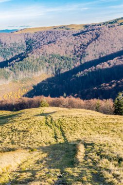 Karpatlar 'da sonbahar sonları, dağlık bölgede güneşli bir gün, karışık bir orman.