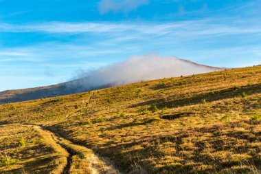 Velikiy Verkh dağında bulut, Ukrayna Karpatları, sonbahar zamanı