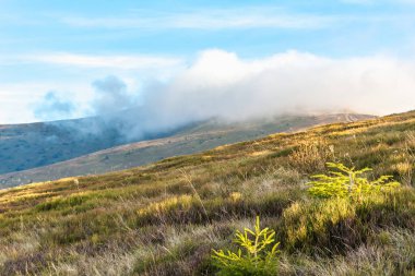 Velikiy Verkh dağında bulut, Ukrayna Karpatları, sonbahar zamanı