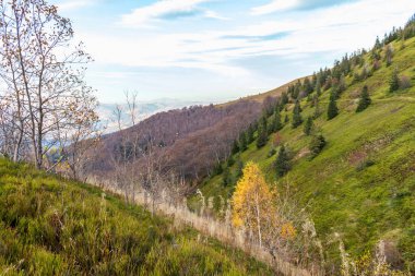 Ukrayna Karpatları 'nda sonbahar, Borzhava ovasında bir manzara.