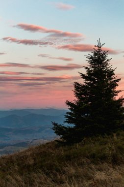 Sonbahar dağlarında manzara, Ukrayna Karpatları, akşam vakti