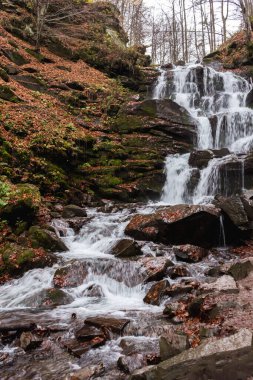 Shipit şelalesinin sonbahar manzarası, Ukrayna Karpatları