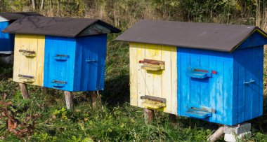 Yaz aylarında sarı ve sarı renkli arı kovanları