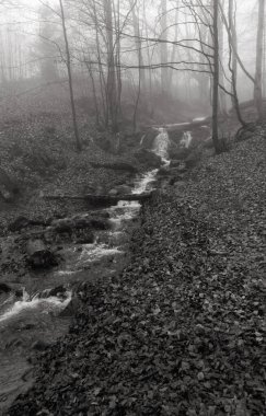 Dağlardaki manzara siyah beyaz