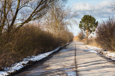 Kış ormanında kar, karışık orman