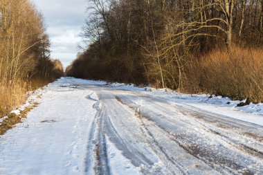 Kış ormanında kar, karışık orman