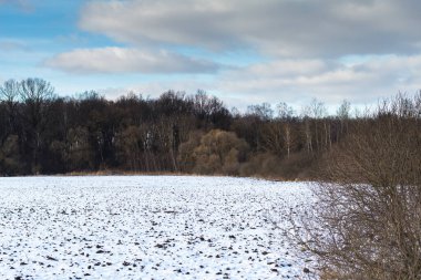 Kış ormanında kar, karışık orman