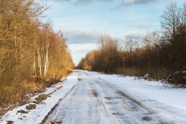 Kış ormanında kar, karışık orman