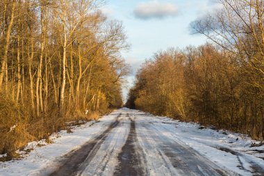 Kış ormanında kar, karışık orman