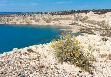 Güney Kıbrıs sahilinde güzel bir sahil, parlak mavi bir göl, Zapallo ba