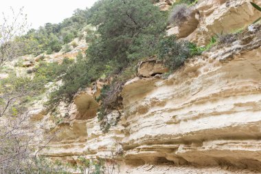 Avakas Vadisi 'nin doğal manzarası.