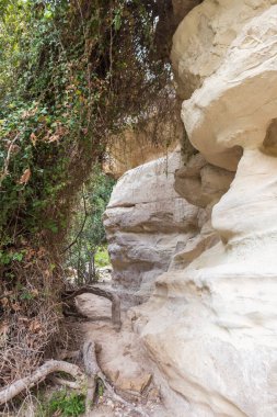 Avakas Vadisi 'nin doğal manzarası.