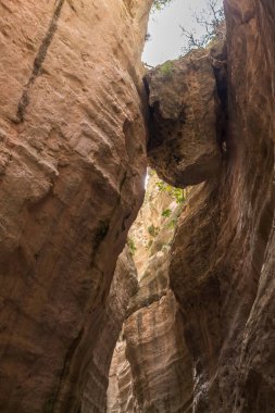 Avakas Vadisi 'nin doğal manzarası.