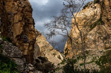 Avakas Vadisi 'nin doğal manzarası.