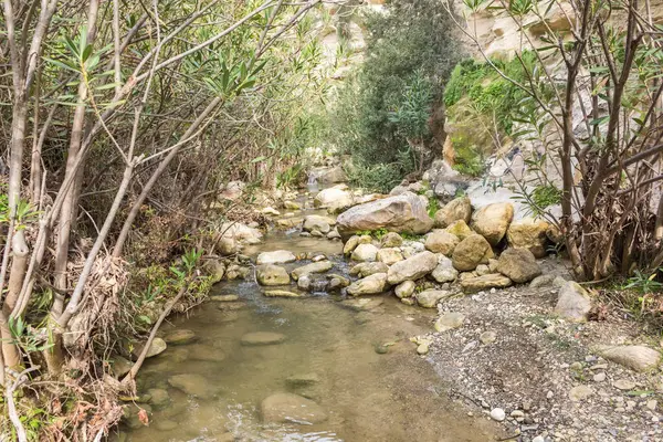 Stock image view of avakas gorge in cyprus, natural landscap