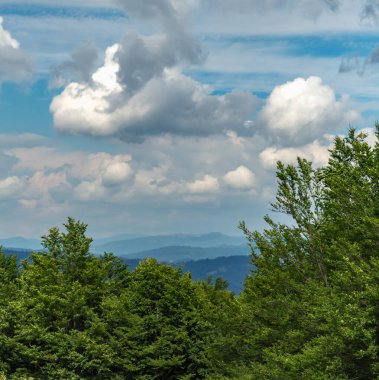 Karpatlar 'da yaz manzarası, bulutlu gökyüzü