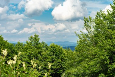 Karpatlar 'da yaz manzarası, bulutlu gökyüzü