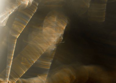 Karmaşık bir örümcek ağının büyüleyici makro görüntüsü, doğanın tasarımının güzelliğini ve karmaşıklığını gözler önüne seriyor.