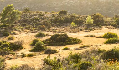 Kıbrıs Rum Kesimi 'nin berrak gökyüzü, az bulut ve sınırlı bitki örtüsü ile manzaralı sakin bir fotoğraf, adanın doğal güzelliğini gösteriyor