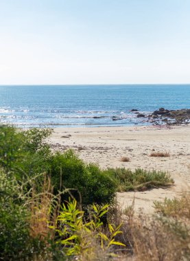 Kıbrıs 'taki Zapallo Körfezi Sahili' nin manzaralı fotoğrafı, deniz ufku, ön planda yeşil çalılıklar. Berrak bir yeşillik dokunuşuyla sakin kıyı manzarası