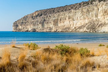 Kıbrıs 'taki Zapallo Körfezi Sahili' nin büyüleyici manzarası, deniz ufku uzakta, ön planda kum ve kuru otlar, kıyı manzarasının doğal güzelliğini gösteriyor.