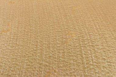 Deniz dalgaları tarafından yaratılmış soyut bir kum desenini yakalayan fotoğraf, kumların karmaşık dokusunu büyüleyici ve sanatsal bir şekilde gösteriyor.