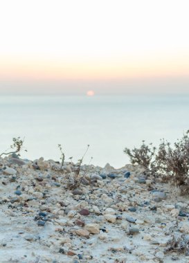 Gün batımında kayalıklar ve önplanda kuru bitkilerle birlikte deniz manzarasını yakalayan fotoğraf, dingin ve sakin bir atmosfer için yumuşak pastel renkler sergiliyor.