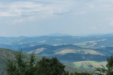 Karpat Dağları 'ndaki Borzhava' nın nefes kesen yaz manzarasını keşfedin. Büyük bir kayın ağacı ve sisli dağ sıraları.