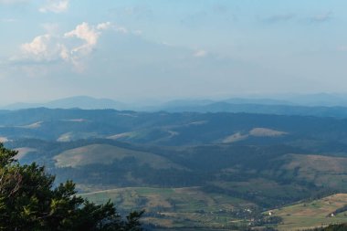Karpat Dağları 'ndaki Borzhava' nın nefes kesen yaz manzarasını keşfedin. Büyük bir kayın ağacı ve sisli dağ sıraları.