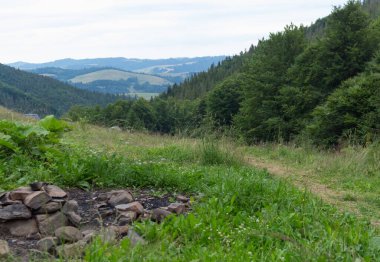 Karpat Dağları 'ndaki Borzhava' nın nefes kesen yaz manzarasını keşfedin. Büyük bir kayın ağacı ve sisli dağ sıraları.