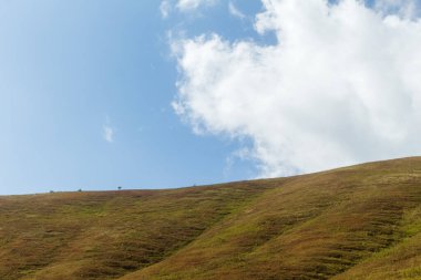 Borzhava sıradağlarına tepeden bakan Karpat Dağları 'nın görkemli güzelliğini yakalayın. Ufkun üzerinde sürüklenen bulutlar ve yaz mevsiminde açan yabanmersini tarlaları.