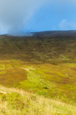 Borzhava sıradağlarına tepeden bakan Karpat Dağları 'nın görkemli güzelliğini yakalayın. Ufkun üzerinde sürüklenen bulutlar ve yaz mevsiminde açan yabanmersini tarlaları.