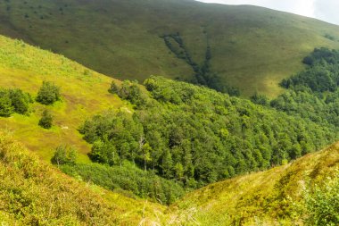 Borzhava sıradağlarına tepeden bakan Karpat Dağları 'nın görkemli güzelliğini yakalayın. Ufkun üzerinde sürüklenen bulutlar ve yaz mevsiminde açan yabanmersini tarlaları.