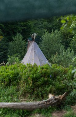 Yaz boyunca bir Karpatlar çayırında bir çadırın sükunetini yaşayın, ön planda bir kayın kütüğüyle resim sahnesine doğal bir dokunuş ekleyin.