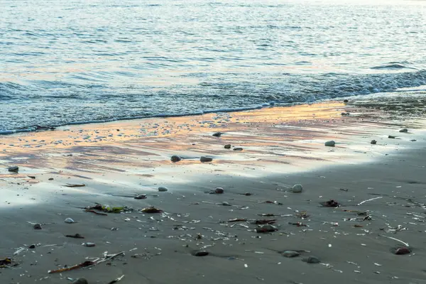 Kıbrıs 'ta bir sahilde denizin yüzeyine yansıyan güneş ışınlarının büyüleyici güzelliğini yakalayın. Suyun kenarında pırıl pırıl ve büyülü bir an yaratın.