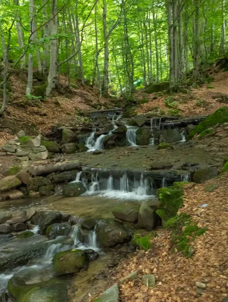 Canlı yaz mevsiminde bereketli bir kayın ormanının içinden akan huzurlu bir dağ deresine tanıklık ederken kendinizi Karpat Dağlarının güzelliğine daldırın.