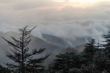 Şafak vakti puslu dağ manzarasında siluetli ağaçlar ve alçak bulutlar var. Gündoğumunun yumuşak renkleri dramatik gökyüzü ile harmanlanır ve sahneye derinlik ve sükunet katar.