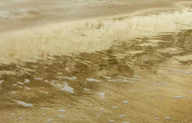 Görüntü, yumuşak dalgaların kumlu bir kıyı şeridini okşayarak berrak mavi suya doğru çaprazlama uzandığı sakin bir kıyı sahnesi yakalıyor. Islak kumda yansımalar derinlik ve görsel ilgi ekler.