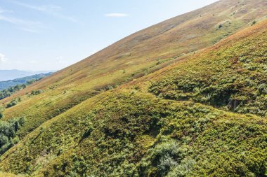 Karpat Dağları 'ndaki Borzhava Vadisi' nin her iki tarafında yemyeşil yamaçlar bulunan görkemli manzarası. Vadi ağaçlar ve çalılarla süslenmiş.