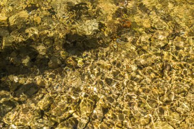 Sığ bir su kütlesinin dibini, muhtemelen bir akarsu ya da nehri, güneş ışığının filtreleyerek temiz yüzey üzerinde dalgalanma etkisi oluşturduğu sakin bir bakış. Alttaki kayaların şekli bozulmuş.